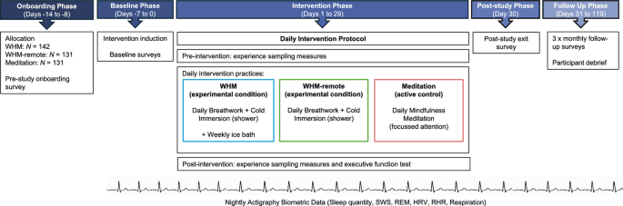 A semi-randomised control trial assessing psychophysiological effects of breathwork and cold immersion | Scientific Reports