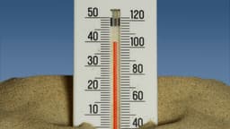 Best watering practices, how to care for potted plants during hot, dry spells and using growing degree days to control pests