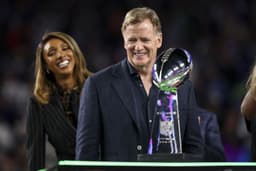 NFL commissioner Roger Goodell faces calls to be fired