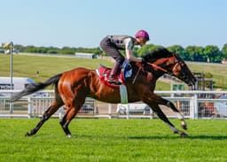 The Betfred Derby Pedigree and Form Notebook