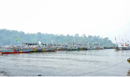 A ‘big book’ documenting Cameroon’s sharks & rays fills critical conservation gap