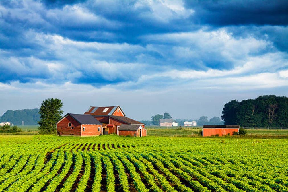 China pledges $17B in US farm purchases as trade talks resume