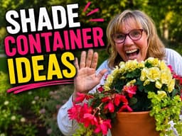 Shade Containers That Thrive