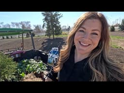 Planting 2 Small Evergreens & Pretty Perennials! 🌲🌸🌿 // Garden Answer