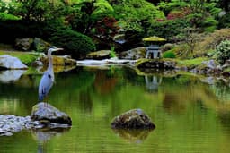 Seattle Japanese Garden Closure Set For Summer 2026—Here’s What to Know