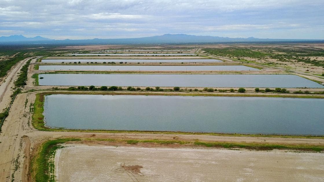 Tucson, Phoenix create water-sharing plan as river shrinks