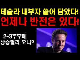 테슬라 내부자 쓸어 담았다! 테슬라 주가 상승이 임박 했나? 언제나 반전은 있다! 2-3주후 전쟁 끝나면 상승 랠리 오나? 현재 빅테크들중 저평가 된 종목을 주목하라! 지금이 기회