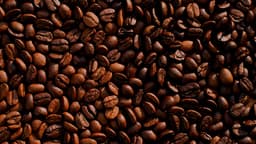 Yemeni Coffee Is Taking Over The Bay Area