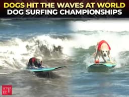 World Dog Surfing Championships: Dogs make a splash in ...