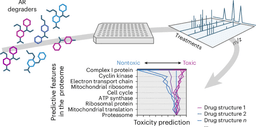 Proteome-guided drug discovery maps and mitigates ...
