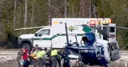 Brothers seriously injured in Yellowstone bear attack
