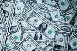 Dollar Holds Near Six-Week High Amid Rate Hike Fears