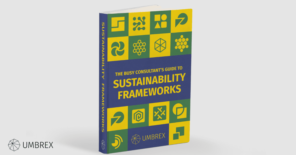 Integrated Reporting Framework