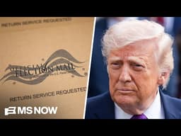 ‘Silencing his own supporters!’: Nevada official says Trump’s mail-in voting order may backfire