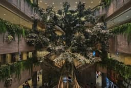 上海博物館｜世界樹之巔·美洲文明大展完整攻略