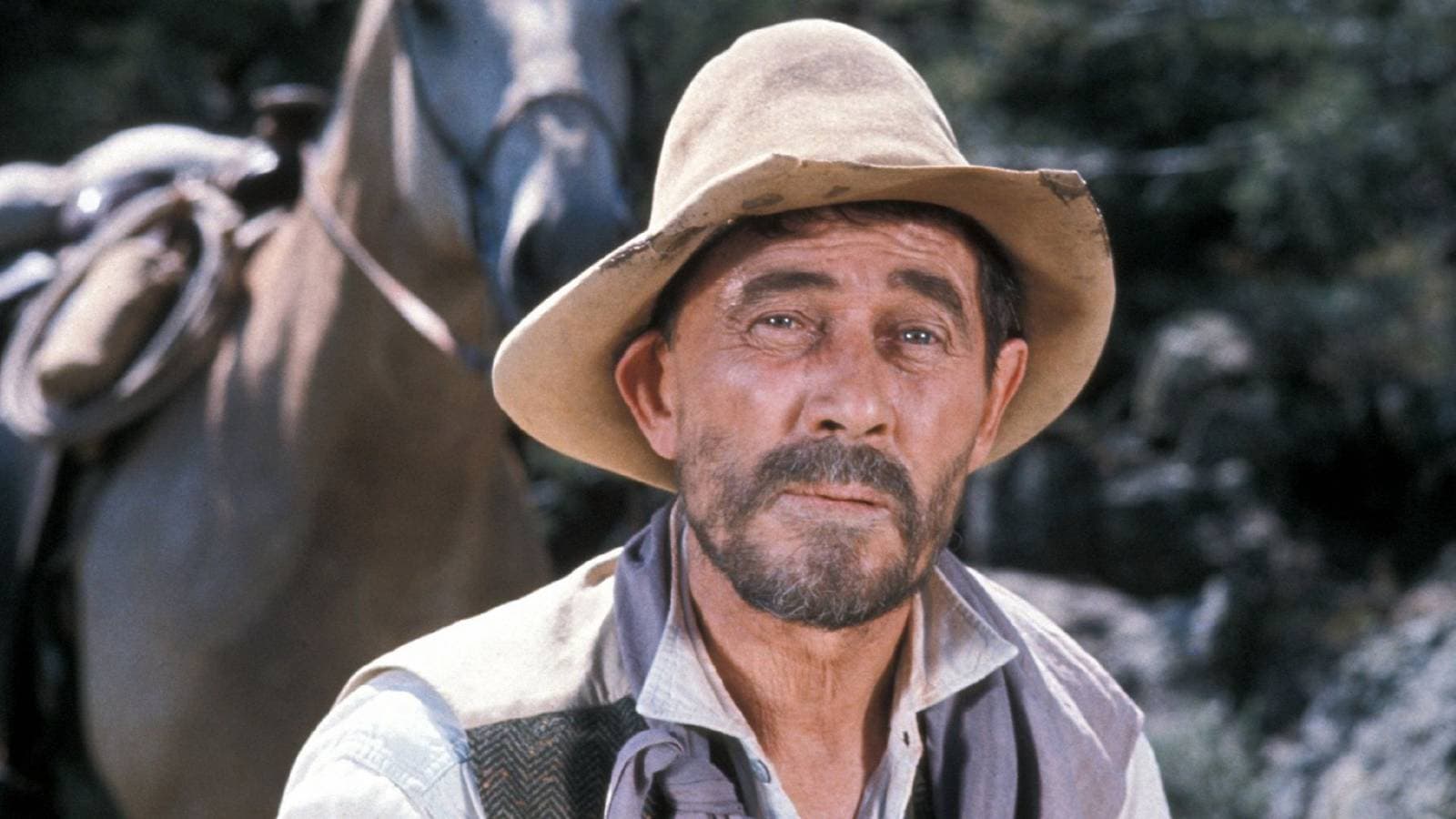 All 8 Gunsmoke Shows & Movies Explained