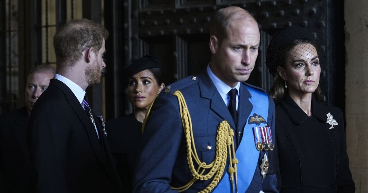 Meghan's one flaw means William is Harry's only chance of ...