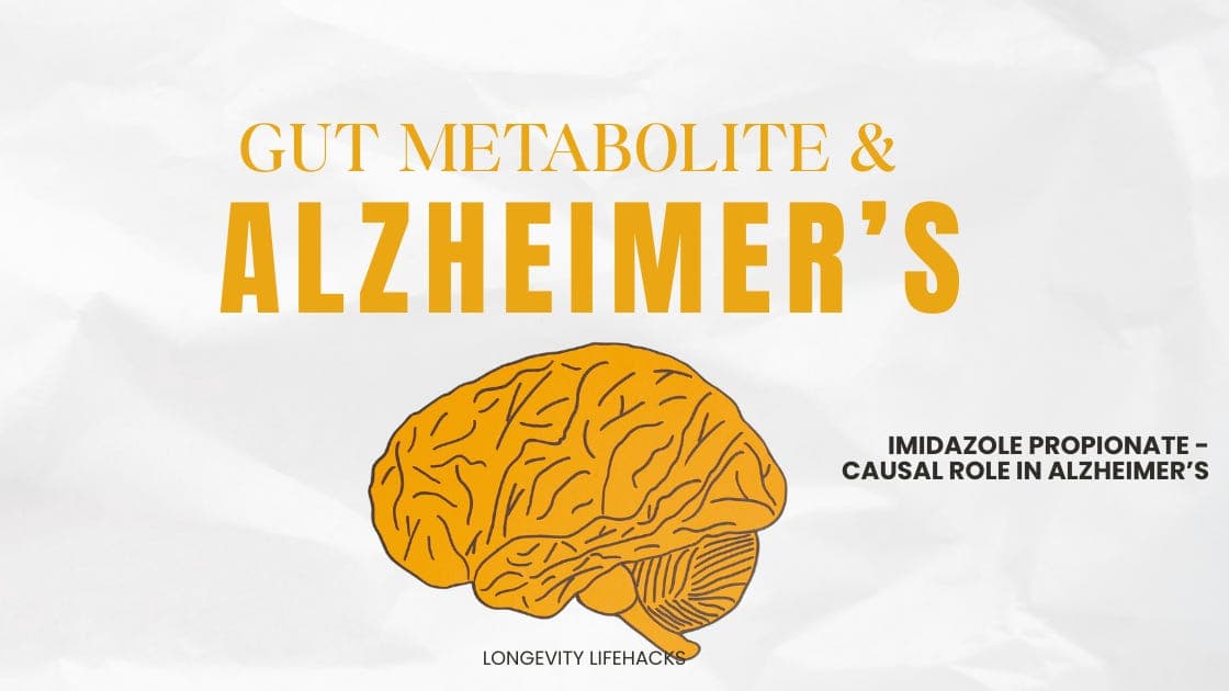 Imidazole propionate (ImP) and dementia