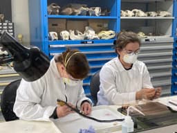 2027 UK Isotope Analysis Lab (2 Sessions)