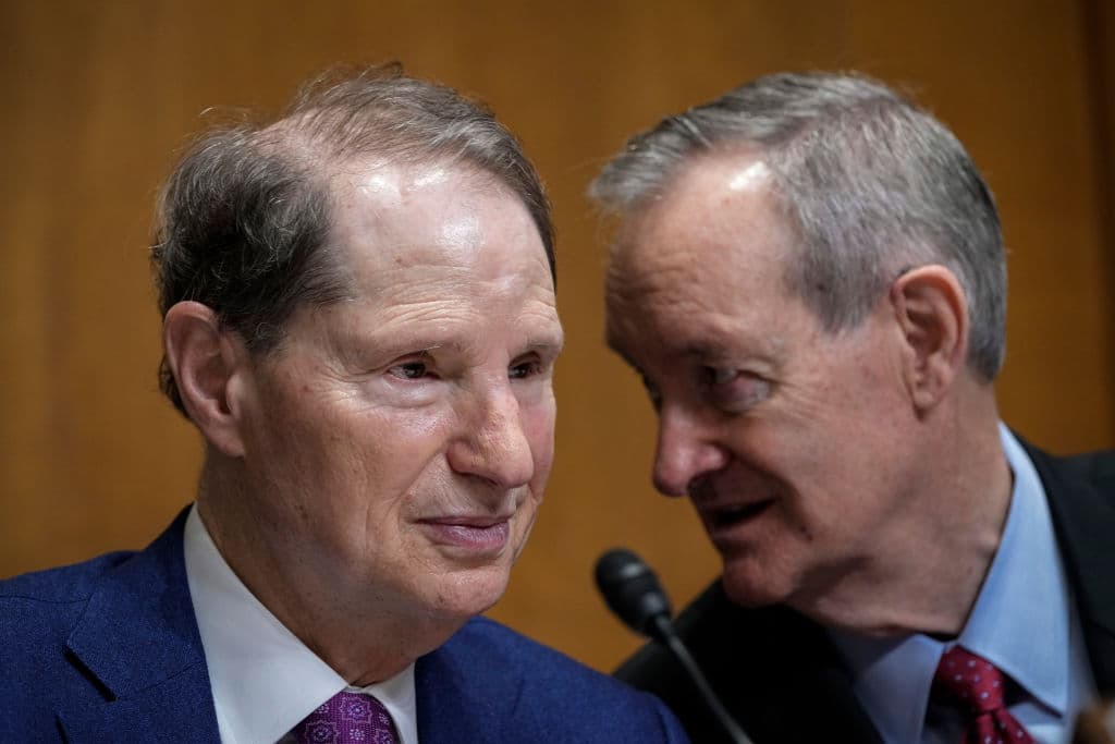 The Senate has two weeks to act on tax and trade - Punchbowl News