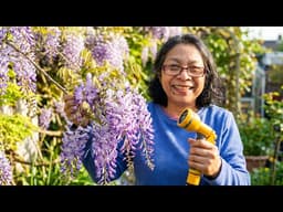 The Ultimate Spring Watering Guide: From Juicy Strawberries to Stunning Wisteria