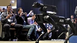 ICE to use Boston Dynamics robot dogs