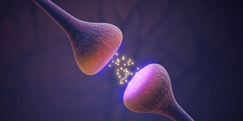 Can one drug repair the brain across multiple CNS diseases?