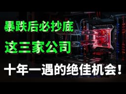 暴跌70%后，印尼突然收紧镍矿！下一个资源牛市来了？VALE、BHP、CNIKF谁最受益？不想亏钱必看！ NVDA，MSFT，GOOG#美股 ##投資#美股 #抄底