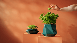 POTR Launches Helix, a NASA-Inspired Expandable Self ...
