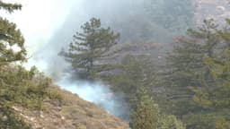Timber Fire in Big Sur grows to 4545 acres amid tough ...