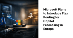 Flex Routing Dilemma for European Copilot Customers