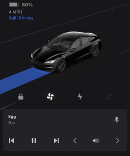 Tesla App Now Shows FSD Blue Route in 2026.20.6.1