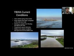 Updates of the YBWA -  Flyway Nights April 2026