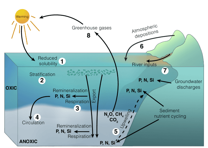 Climate change alters biogeochemical cycles in oxygen- ...