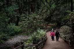 The most-visited national park is in the Bay Area. Here's how you can help preserve it