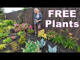 How I’m Filling My Garden Beds Without Buying More Plants | Budget Gardening