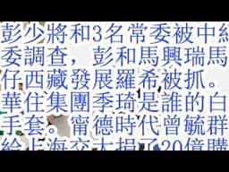 彭少将和3名常委被中纪委调查，彭和马兴瑞马仔西藏发展罗希被抓。华住集团季琦是谁的白手套。宁德时代曾毓群，给上海交大捐了20亿购买赎罪券。毕得医药戴岚、戴龙