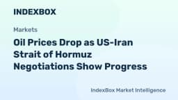 Oil Prices Drop as US-Iran Strait of Hormuz Negotiations Show Progress
