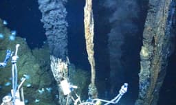 Review warns that deep-sea mining may cause lasting damage to marine life