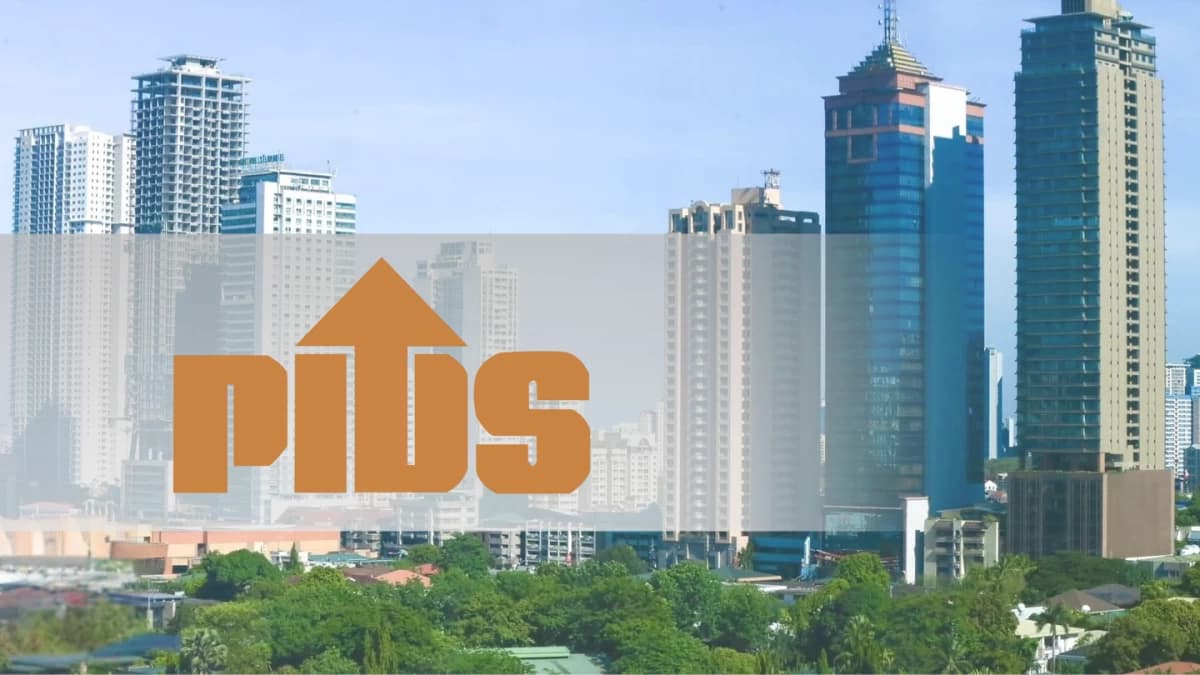 PIDS flags grid modernization delays