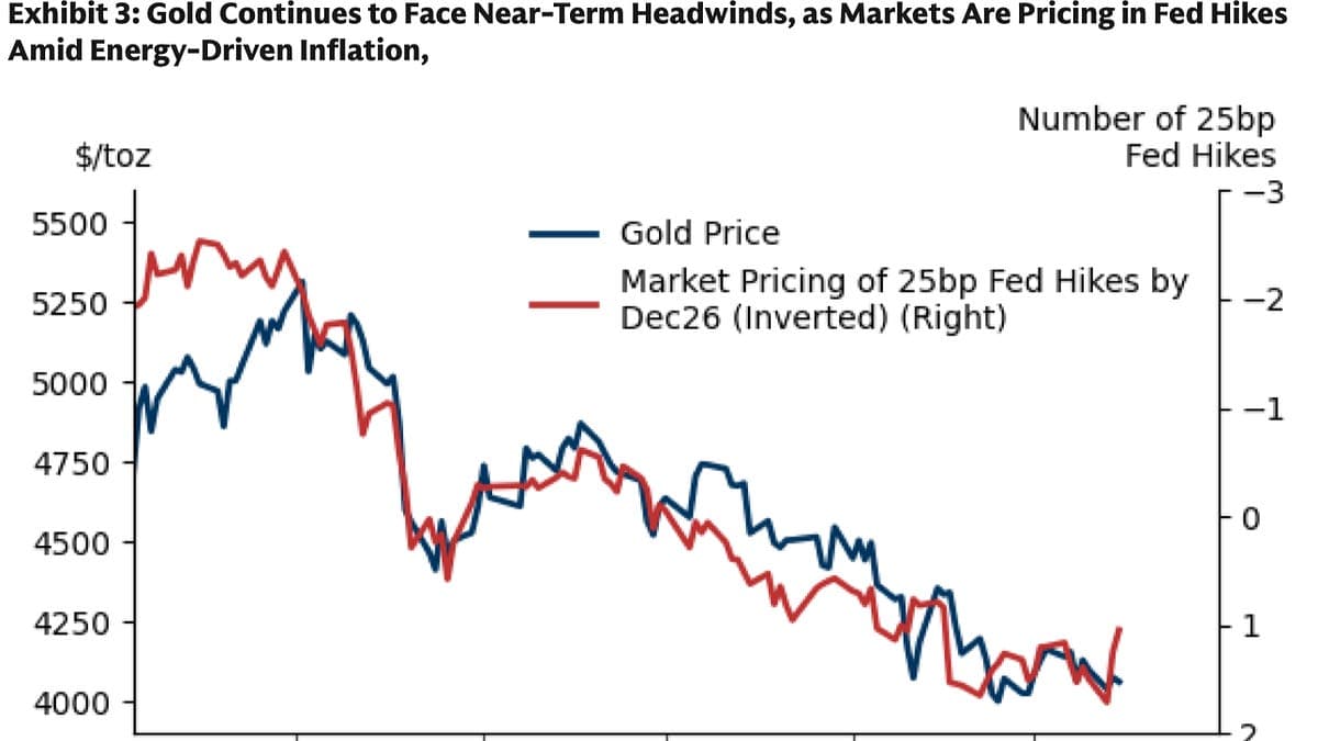 Central Bank Buying Accelerates as Dollar Confidence Wanes