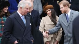 Meghan Markle, Archie, and Lilibet Cancel Plans to Travel ...