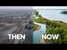 Florida Spent $1 Billion To Destroy A Canal And A Dying Ecosystem Was Revived
