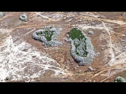 Florida Faces Most Severe Drought in 15 Years as High Pressure Suppresses Rainfall