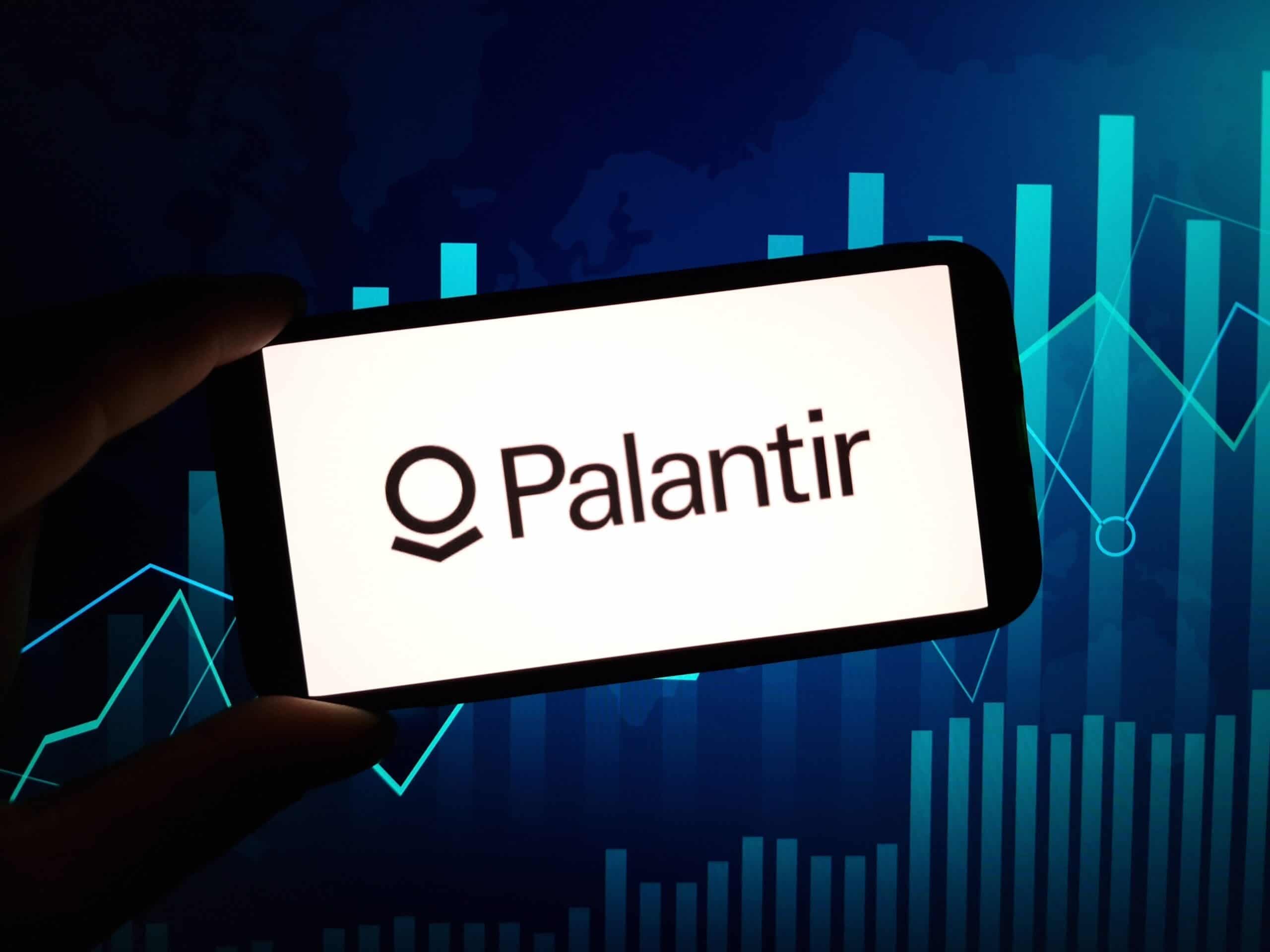 Palantir stock volatility amid Burry shorts/valuation FUD/insider activity