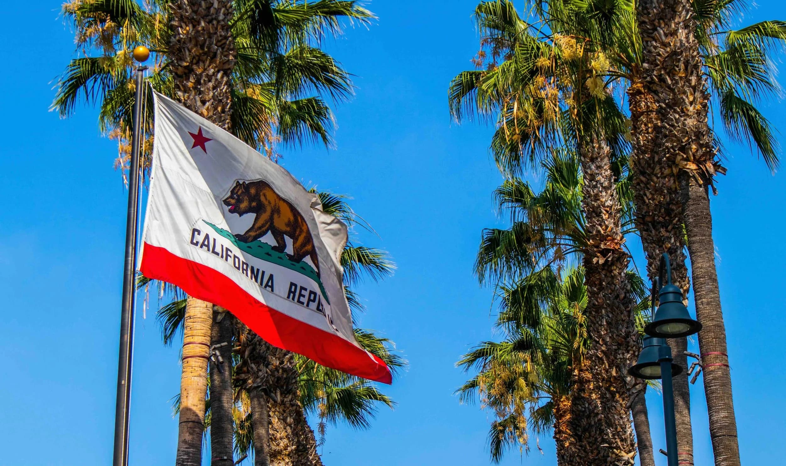 California education policy, youth technology, math rules, and school-abuse liability