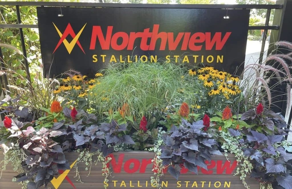 A Saratoga Sales sojourn for MD's Sycamore Hall Farm & Northview ...
