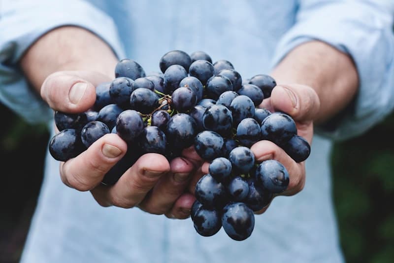 Wine Pairing for a Grazing Table Wedding: Expert Tips