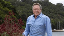 U.S. Court Sanctions Meta Over Evidence in Andrew Forrest Scam Ads Case
