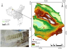 Study on Water–Salt Transport Patterns and Irrigation Regimes in Droplet Irrigation of Desert Vegetation Using Highly Mineralised Mine Water